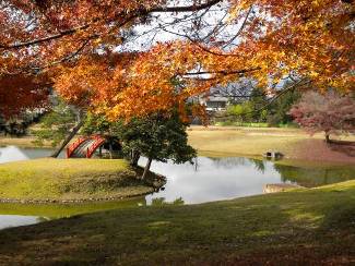 奈良大乗院庭園写真